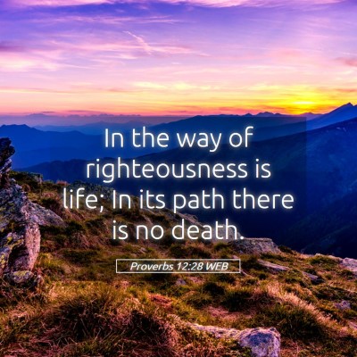 Picture 05 - Proverbs 12:28 WEB - In the way of righteousness is life; In its path - Bible Verse Picture