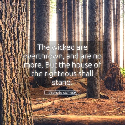 Picture 05 - Proverbs 12:7 WEB - The wicked are overthrown, and are no more, But - Bible Verse Picture