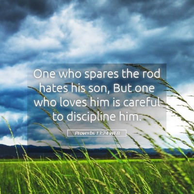 Picture 05 - Proverbs 13:24 WEB - One who spares the rod hates his son, But one who - Bible Verse Picture