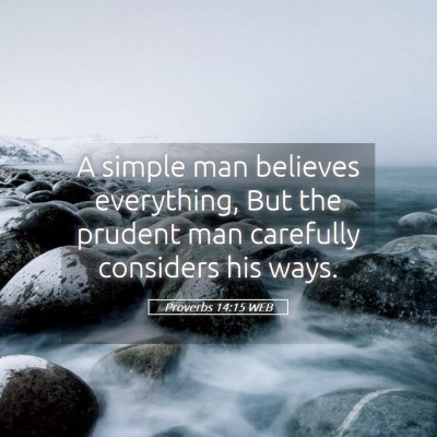 Picture 05 - Proverbs 14:15 WEB - A simple man believes everything, But the prudent - Bible Verse Picture