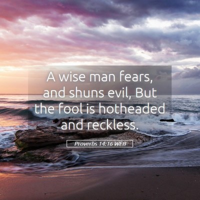 Picture 05 - Proverbs 14:16 WEB - A wise man fears, and shuns evil, But the fool is - Bible Verse Picture