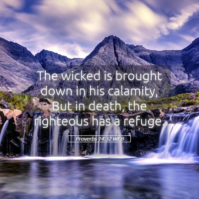 Picture 05 - Proverbs 14:32 WEB - The wicked is brought down in his calamity, But - Bible Verse Picture