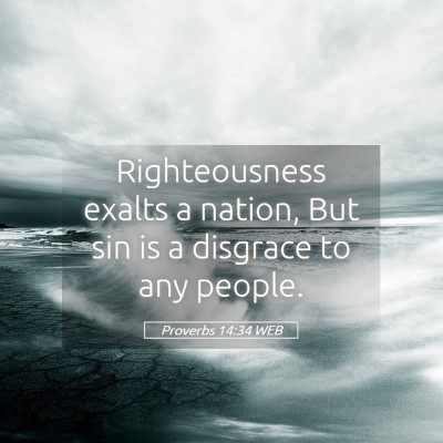 Picture 05 - Proverbs 14:34 WEB - Righteousness exalts a nation, But sin is a - Bible Verse Picture