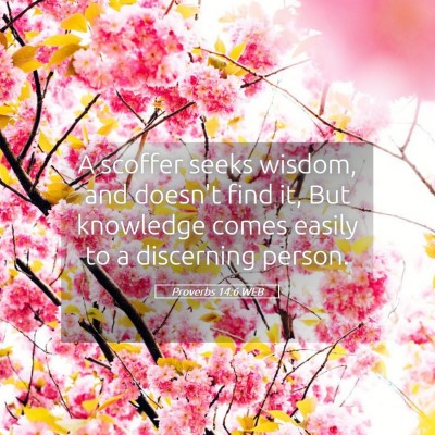 Picture 05 - Proverbs 14:6 WEB - A scoffer seeks wisdom, and doesn't find it, But - Bible Verse Picture