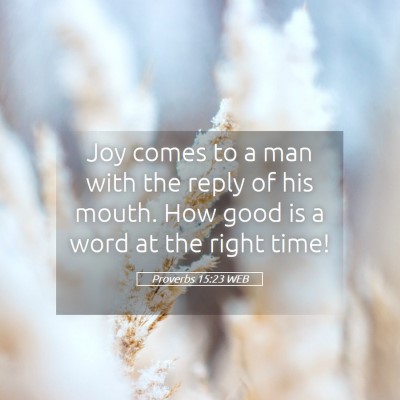Picture 05 - Proverbs 15:23 WEB - Joy comes to a man with the reply of his mouth. - Bible Verse Picture