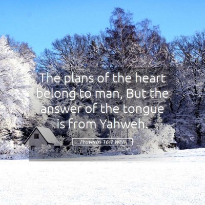 Picture 05 - Proverbs 16:1 WEB - The plans of the heart belong to man, But the - Bible Verse Picture