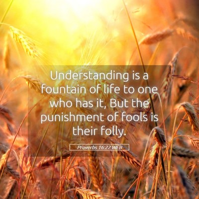 Picture 05 - Proverbs 16:22 WEB - Understanding is a fountain of life to one who - Bible Verse Picture