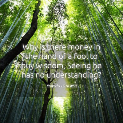 Picture 05 - Proverbs 17:16 WEB - Why is there money in the hand of a fool to buy - Bible Verse Picture