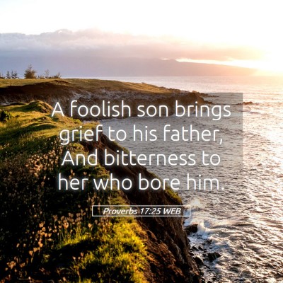 Picture 05 - Proverbs 17:25 WEB - A foolish son brings grief to his father, And - Bible Verse Picture
