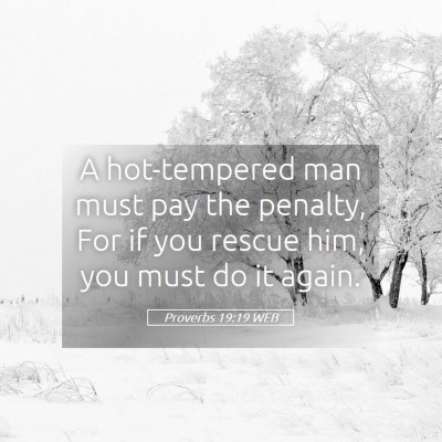 Picture 05 - Proverbs 19:19 WEB - A hot-tempered man must pay the penalty, For if - Bible Verse Picture