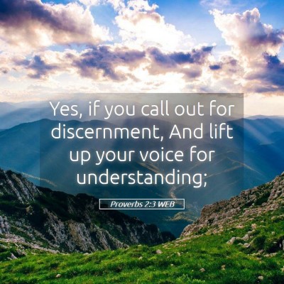 Picture 05 - Proverbs 2:3 WEB - Yes, if you call out for discernment, And lift up - Bible Verse Picture