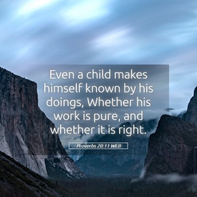 Picture 05 - Proverbs 20:11 WEB - Even a child makes himself known by his doings, - Bible Verse Picture