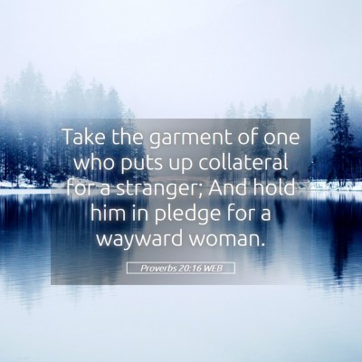 Picture 05 - Proverbs 20:16 WEB - Take the garment of one who puts up collateral - Bible Verse Picture