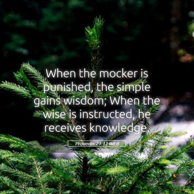 Picture 05 - Proverbs 21:11 WEB - When the mocker is punished, the simple gains - Bible Verse Picture