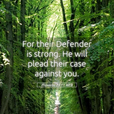Picture 05 - Proverbs 23:11 WEB - For their Defender is strong. He will plead their - Bible Verse Picture