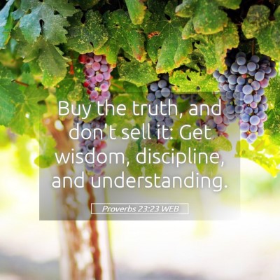 Picture 05 - Proverbs 23:23 WEB - Buy the truth, and don't sell it: Get wisdom, - Bible Verse Picture