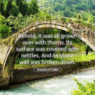 Picture 05 - Proverbs 24:31 WEB - Behold, it was all grown over with thorns. Its - Bible Verse Picture