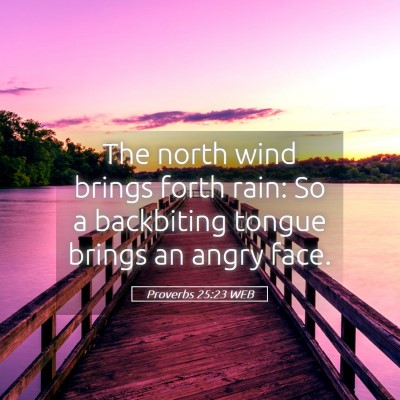 Picture 05 - Proverbs 25:23 WEB - The north wind brings forth rain: So a backbiting - Bible Verse Picture