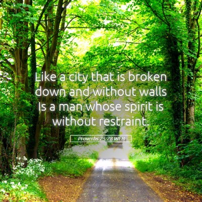 Picture 05 - Proverbs 25:28 WEB - Like a city that is broken down and without walls - Bible Verse Picture
