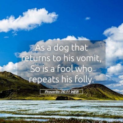 Picture 05 - Proverbs 26:11 WEB - As a dog that returns to his vomit, So is a fool - Bible Verse Picture