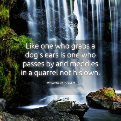 Picture 05 - Proverbs 26:17 WEB - Like one who grabs a dog's ears Is one who passes - Bible Verse Picture