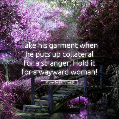 Picture 05 - Proverbs 27:13 WEB - Take his garment when he puts up collateral for a - Bible Verse Picture