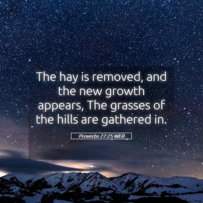 Picture 05 - Proverbs 27:25 WEB - The hay is removed, and the new growth appears, - Bible Verse Picture
