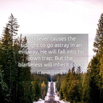 Picture 05 - Proverbs 28:10 WEB - Whoever causes the upright to go astray in an - Bible Verse Picture