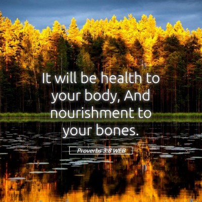 Picture 05 - Proverbs 3:8 WEB - It will be health to your body, And nourishment - Bible Verse Picture