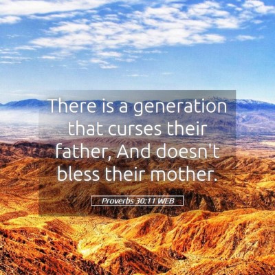 Picture 05 - Proverbs 30:11 WEB - There is a generation that curses their father, - Bible Verse Picture