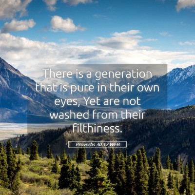 Picture 05 - Proverbs 30:12 WEB - There is a generation that is pure in their own - Bible Verse Picture
