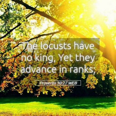 Picture 05 - Proverbs 30:27 WEB - The locusts have no king, Yet they advance in - Bible Verse Picture