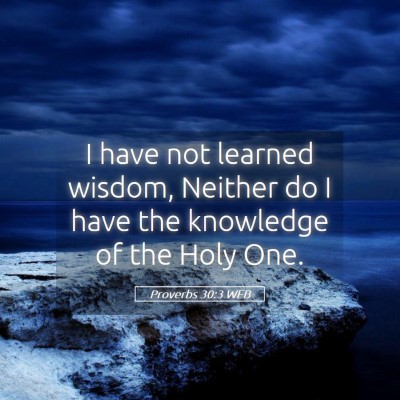 Picture 05 - Proverbs 30:3 WEB - I have not learned wisdom, Neither do I have the - Bible Verse Picture