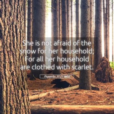 Picture 05 - Proverbs 31:21 WEB - She is not afraid of the snow for her household; - Bible Verse Picture