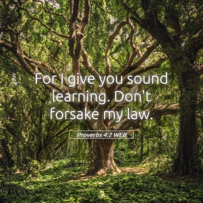 Picture 05 - Proverbs 4:2 WEB - For I give you sound learning. Don't forsake my - Bible Verse Picture