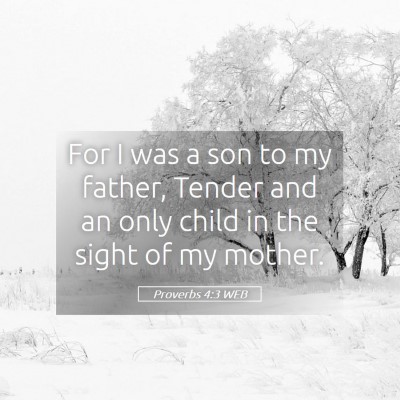 Picture 05 - Proverbs 4:3 WEB - For I was a son to my father, Tender and an only - Bible Verse Picture