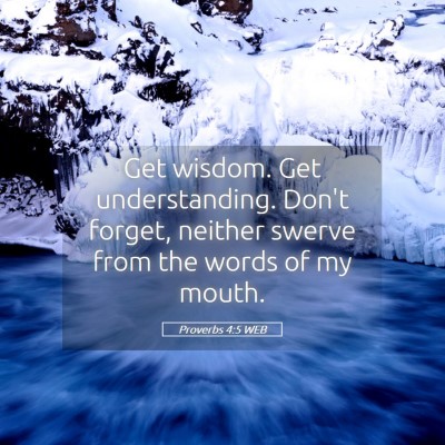 Picture 05 - Proverbs 4:5 WEB - Get wisdom. Get understanding. Don't forget, - Bible Verse Picture