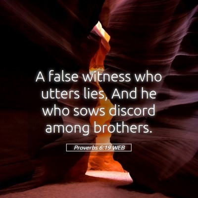 Picture 05 - Proverbs 6:19 WEB - A false witness who utters lies, And he who sows - Bible Verse Picture