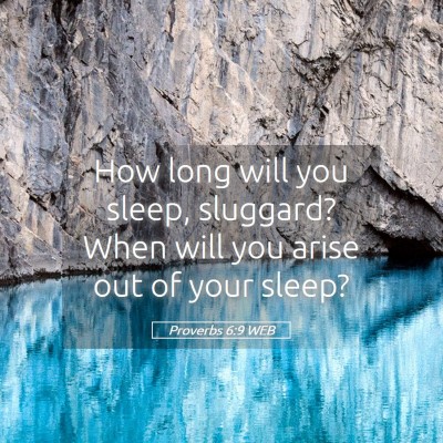 Picture 05 - Proverbs 6:9 WEB - How long will you sleep, sluggard? When will you - Bible Verse Picture