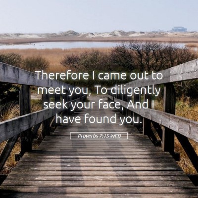 Picture 05 - Proverbs 7:15 WEB - Therefore I came out to meet you, To diligently - Bible Verse Picture