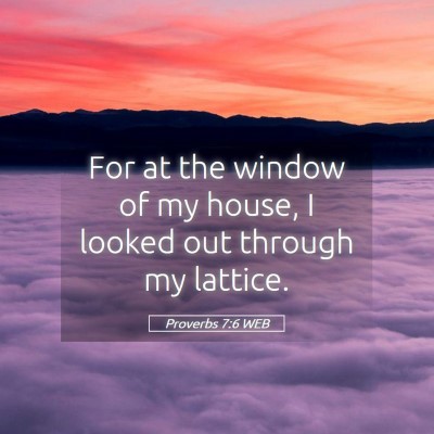 Picture 05 - Proverbs 7:6 WEB - For at the window of my house, I looked out - Bible Verse Picture