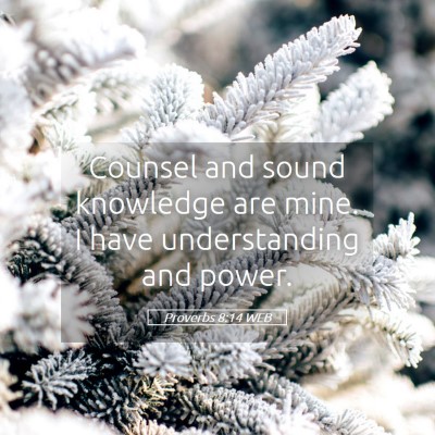 Picture 05 - Proverbs 8:14 WEB - Counsel and sound knowledge are mine. I have - Bible Verse Picture