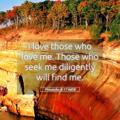 Picture 05 - Proverbs 8:17 WEB - I love those who love me. Those who seek me - Bible Verse Picture