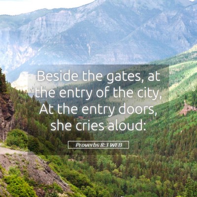 Picture 05 - Proverbs 8:3 WEB - Beside the gates, at the entry of the city, At - Bible Verse Picture