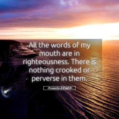 Picture 05 - Proverbs 8:8 WEB - All the words of my mouth are in righteousness. - Bible Verse Picture