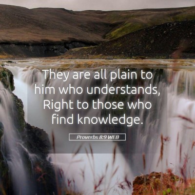 Picture 05 - Proverbs 8:9 WEB - They are all plain to him who understands, Right - Bible Verse Picture
