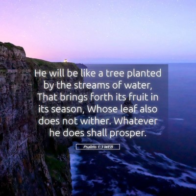 Picture 05 - Psalms 1:3 WEB - He will be like a tree planted by the streams of - Bible Verse Picture