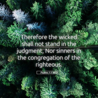 Picture 05 - Psalms 1:5 WEB - Therefore the wicked shall not stand in the - Bible Verse Picture