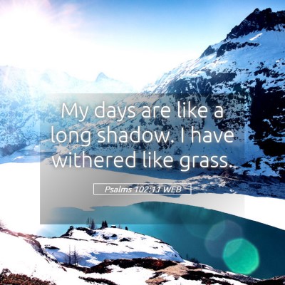 Picture 05 - Psalms 102:11 WEB - My days are like a long shadow. I have withered - Bible Verse Picture