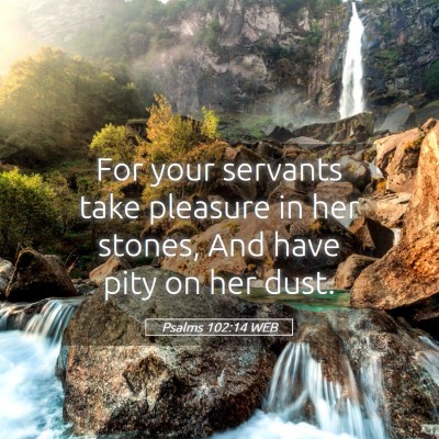 Picture 05 - Psalms 102:14 WEB - For your servants take pleasure in her stones, - Bible Verse Picture